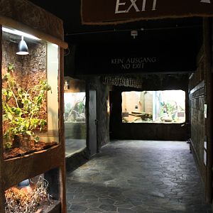 View into the collection