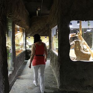 View into the collection