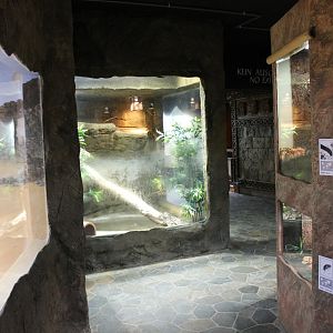 View into the collection