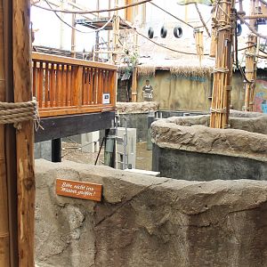 Playing ground and Guinea-pig enclosure