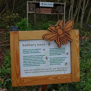 Solitary Bee sign, November 2017
