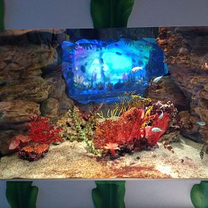 Amazing Creations interactive aquarium