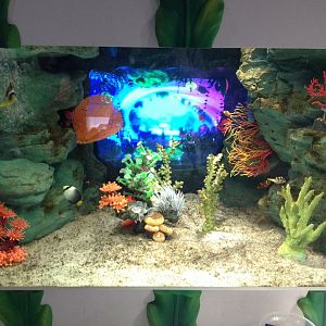 Amazing Creations interactive aquarium