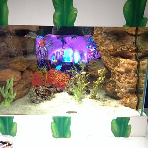 Amazing Creations interactive aquarium