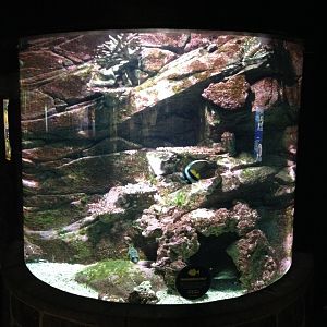 Aquarium