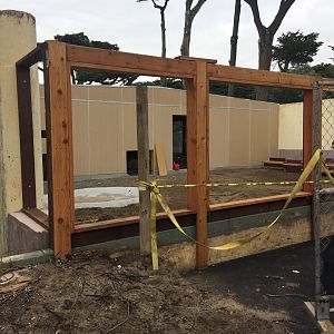 Komodo Alley outdoor enclosure