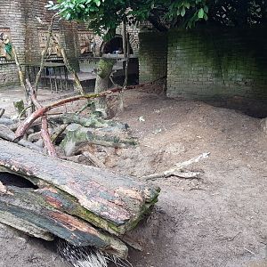Porcupine-enclosure