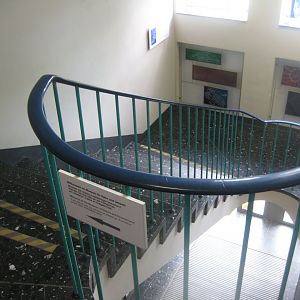 Museum für Natur und Umwelt - Stairway