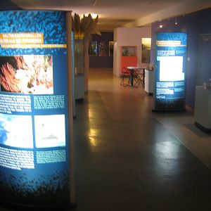 Museum für Natur und Umwelt - Cold water coral exhibition