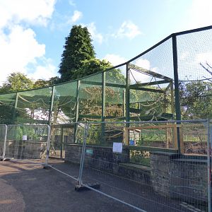 Lar Gibbon Enclosure