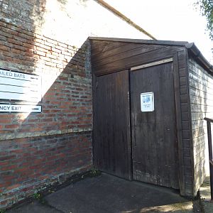 Entrance to bat house