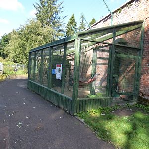 Scottish Wildcat Enclosure (now home to Amur Leopard Cat)