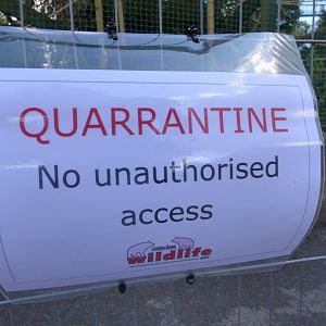 Quarantine signage around Lar Gibbon enclosure