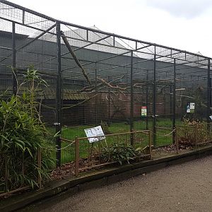 Parrot-aviaries