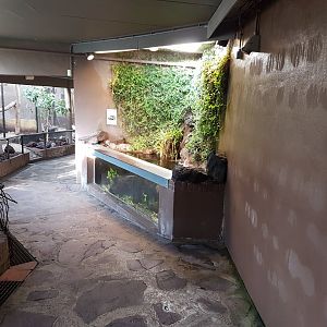 Aquarium in the Bird-house