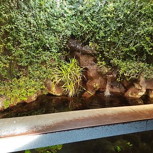 Waterfall in the aquarium