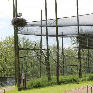 Bird of prey-aviary with stork-nest