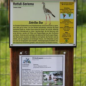 Bird-signs