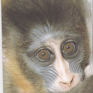 IMG_20171120_0019(0)