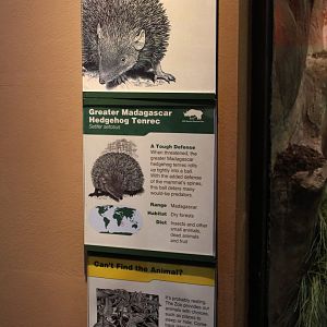Greater hedgehog tenrec signage