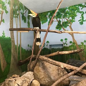 Hornbill Enclosure