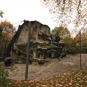 Snow leopard enclosure