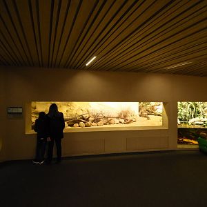 Invasive species enclosure