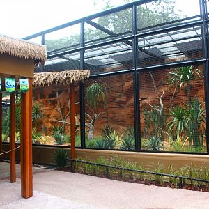 Parrot Paradise - Lear's Macaw exhibit