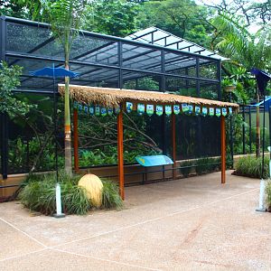 Parrot Paradise - Hyacinth Macaw exhibit