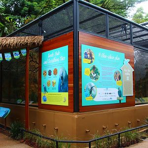 Media 'Parrot Paradise - Spix's Macaw exhibit' in category 'Jurong Bird Park'
