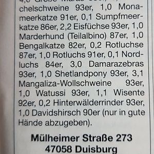 Advertisement Zoo Duisburg