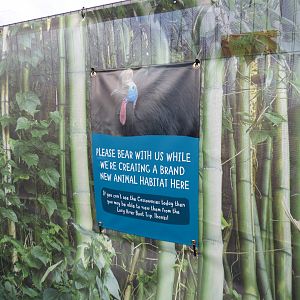 Signage by Cassowary