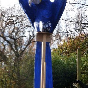 Macaw as part of 'Lanterns'