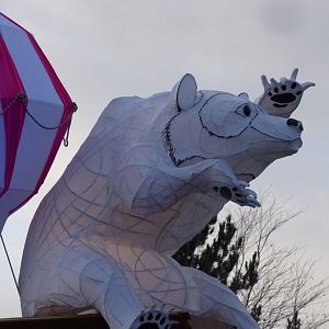 "Spectacled Bear" as part of 'Lanterns'