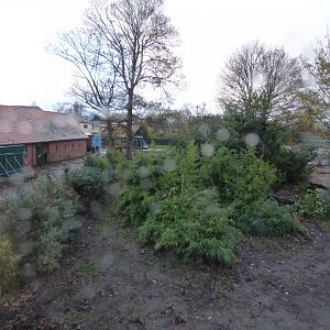 Former Tiger/Sun bear enclosure demolition (being turned into Lemur walk-through)