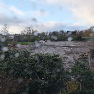 Site of the former Europe on Edge aviary (being turned into lemur enclosure)
