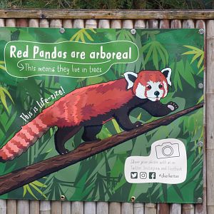 Red panda Signage