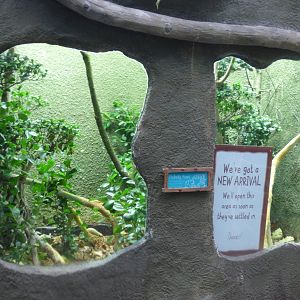 Former Water dragon enclosure