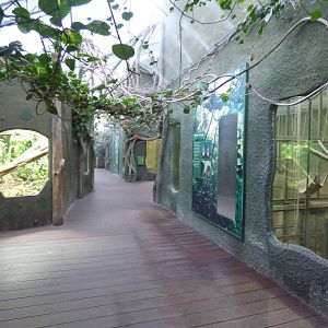 Viewing area in RORA (Bornean Orangutans and Lar Gibbon Indoor enclosures)