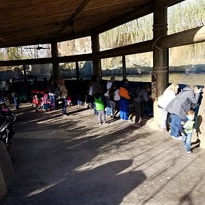 Nov. 2017 - Africa - Fiona's Crowd