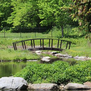 View of Walk-Through Enclosure