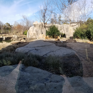 Dec. 2017 - Africa - Lion Exhibit Panorama