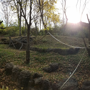 Dec. 2017 - Jungle Trails - Orangutan Exhibit Panorama