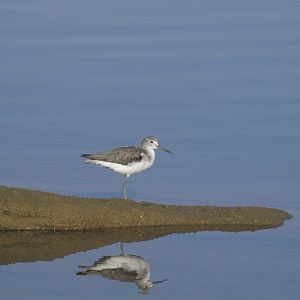 Kalbarri, Western Australia
