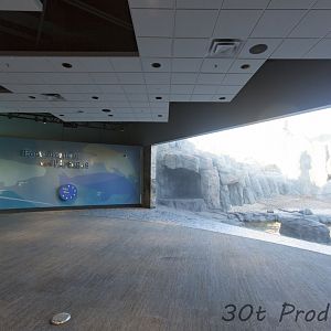 Indoor viewing of the polar bears