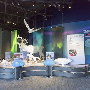 Journey to Churchill - Artwork and Educational information