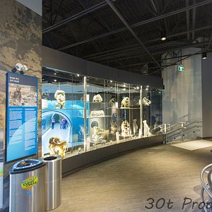 Journey to Churchill - Inuit Art