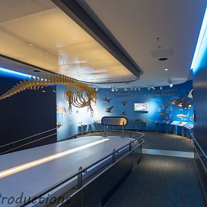 Journey to Churchill - Educational Graphics