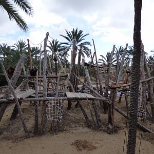 Outdoor Orangutan Enclosure