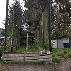 Wader-aviary